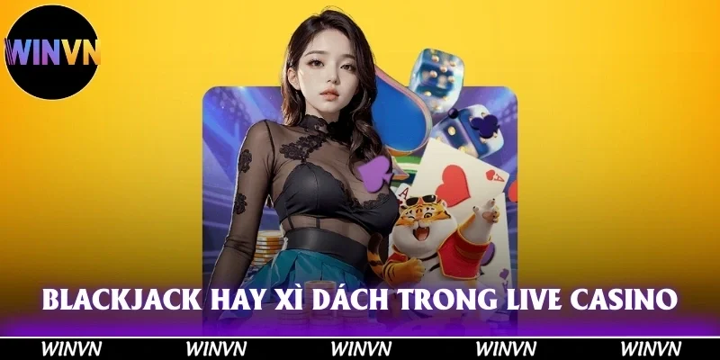 Live Casino Winvn: Đỉnh Cao Giải Trí, Tiền Về Đầy Túi! 11 Blackjack hay Xì Dách trong Live Casino