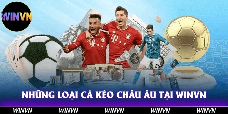 Kèo Châu Âu Là Gì? Cách dự đoán kèo Tỷ Lệ Cược Chuẩn 2 Những loại cá cược mà bạn cần biết khi tham gia kèo Châu Âu tại Winvn